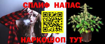 гашик Татарск