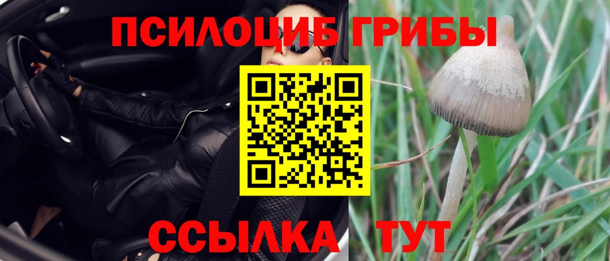 Набережные Челны  Псилоцибиновые грибы Psilocybe  Вход с VPN 